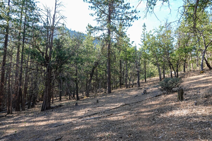 More Photos Of 0 East Rd, Fort Jones Land For Sale