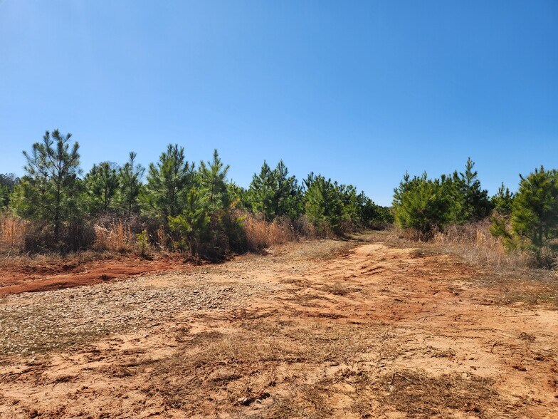 More Photos Of 3004 U.S. 401 Hwy, Louisburg Land For Sale