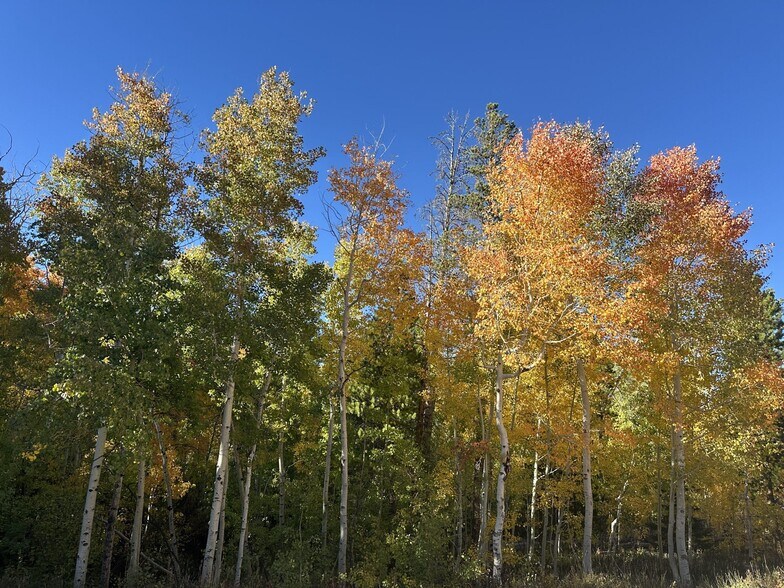 More Photos Of 1124 State Highway 11, Laramie Specialty For Sale