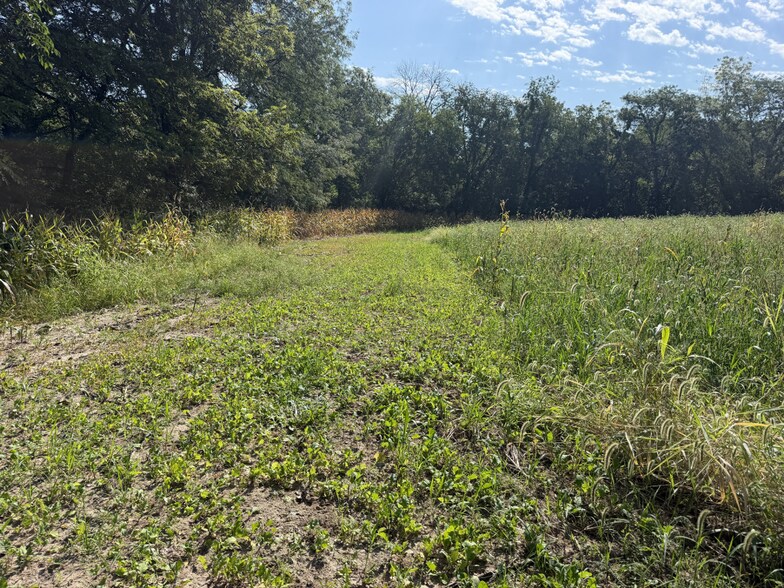 More Photos Of 2681 Casey Ave, Letts Land For Sale