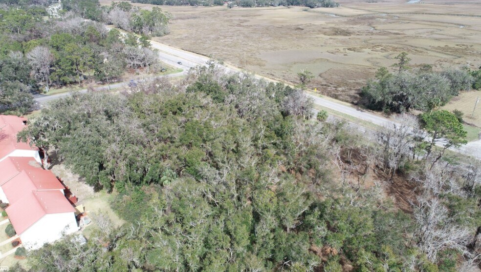 More Photos Of 3855 Darien Hwy, Brunswick Land For Sale