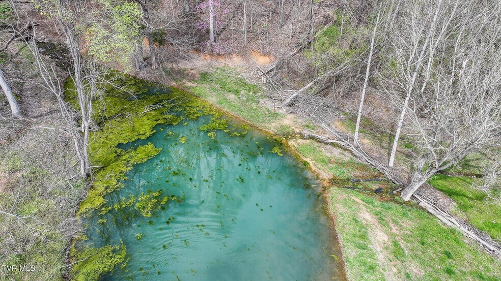 More Photos Of 340 Melinda Ferry rd, Rogersville Land For Sale