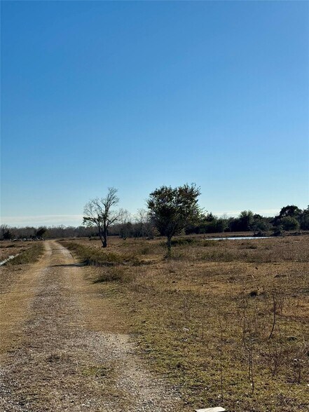 More Photos Of FM 2004 @ Avenue C, Hitchcock Land For Sale