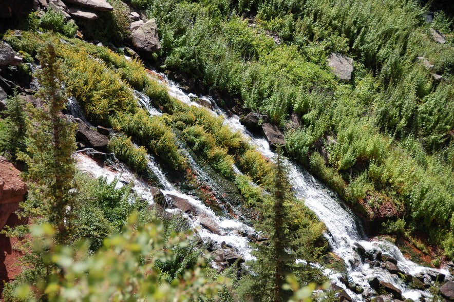 More Photos Of Lake Beaver E, Beaver Land For Sale