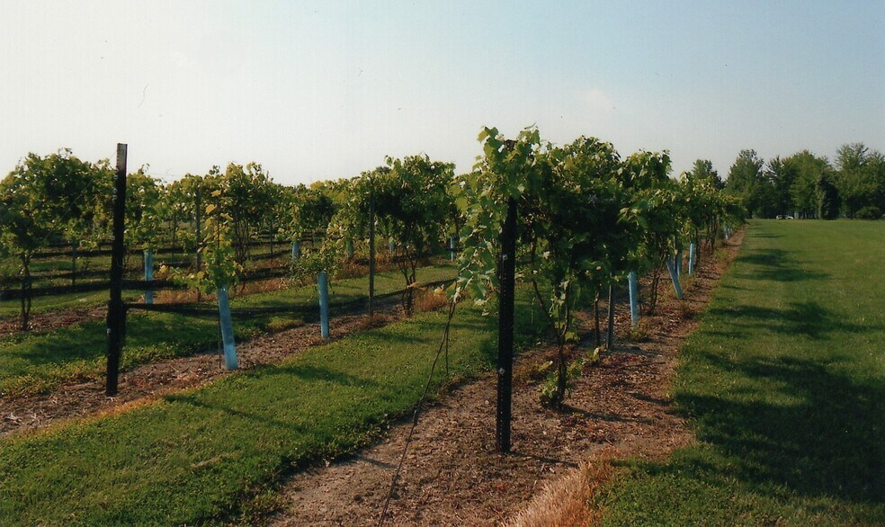 More Photos Of 14558 Ellsworth Rd, Berlin Center Specialty For Sale