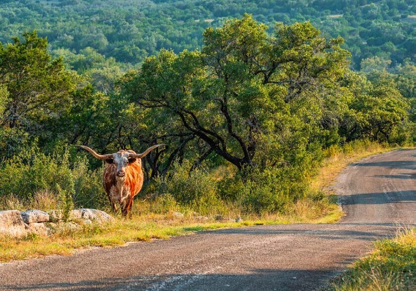 More Photos Of 7040 W Fitzhugh Rd, Dripping Springs Land For Sale