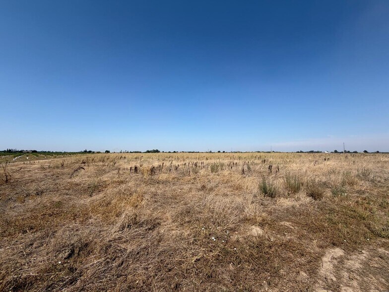 More Photos Of 14100 Locust Tree rd, Lodi Land For Sale