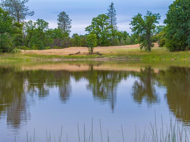 More Photos Of 14015 Hwy 36 W, Cottonwood Land For Sale