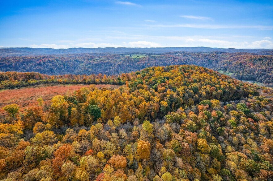 More Photos Of 6211 Rocky Point Rd, Cookeville Specialty For Sale