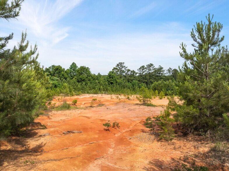 More Photos Of 4883 U S Highway 49, Hattiesburg Land For Sale