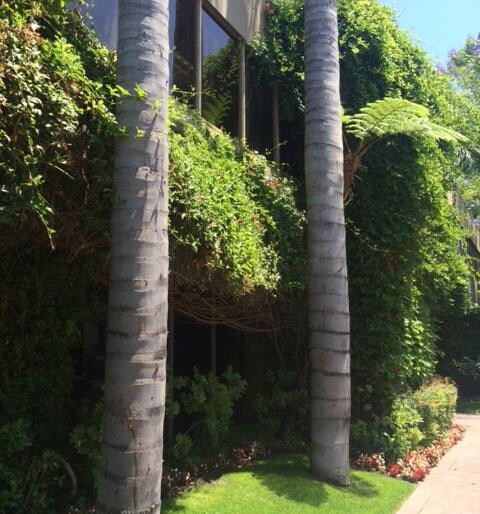 More Photos Of 12650 Riverside Dr, Valley Village Loft Creative Space For Lease