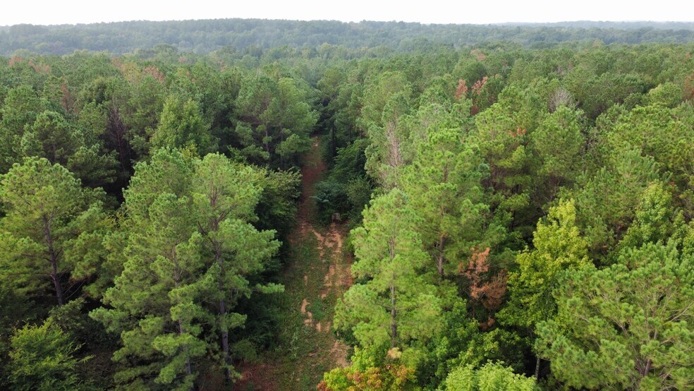 More Photos Of 7469 HIGHWAY 69, Tyler Land For Sale