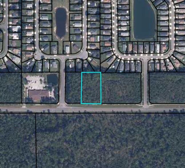 Primary Photo Of County Road 220, Middleburg Land For Sale