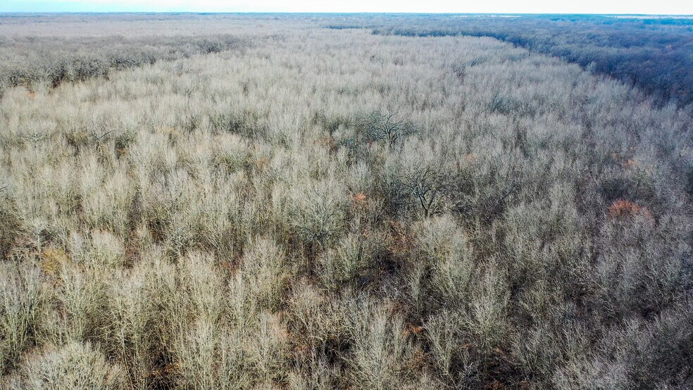 More Photos Of 1200 County 1255 rd, Detroit Land For Sale