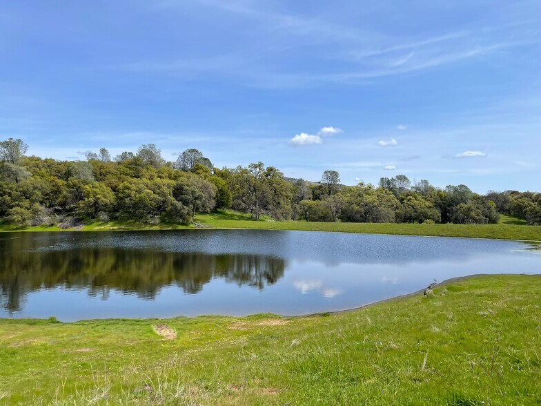 Primary Photo Of 5877 State 49 hwy, Mariposa Land For Sale