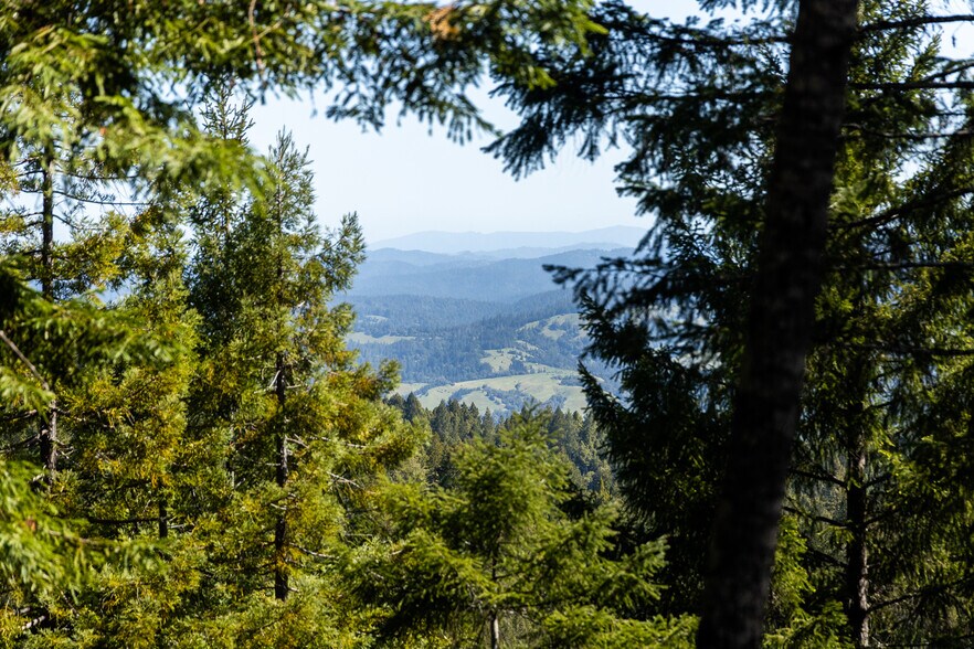 More Photos Of 8555 Signal Ridge Road, Philo Land For Sale