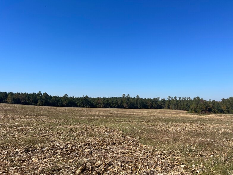 More Photos Of 15894 NC 24-27 Hwy, Eagle Springs Land For Sale