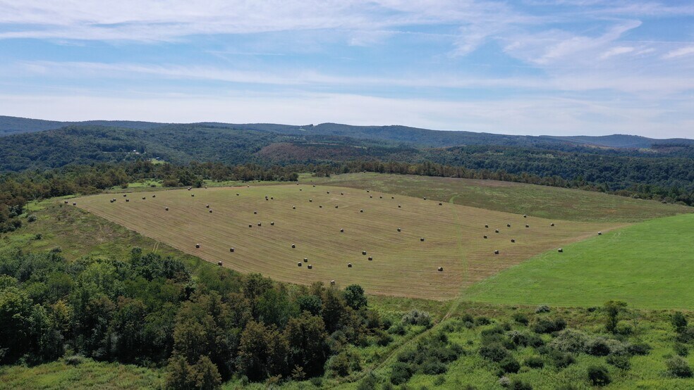 More Photos Of 14816 Old Legislative Rd SW, Lonaconing Land For Sale