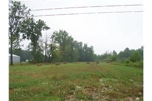 Primary Photo Of 0 Van Dyke Rd, Almont Township Land For Sale