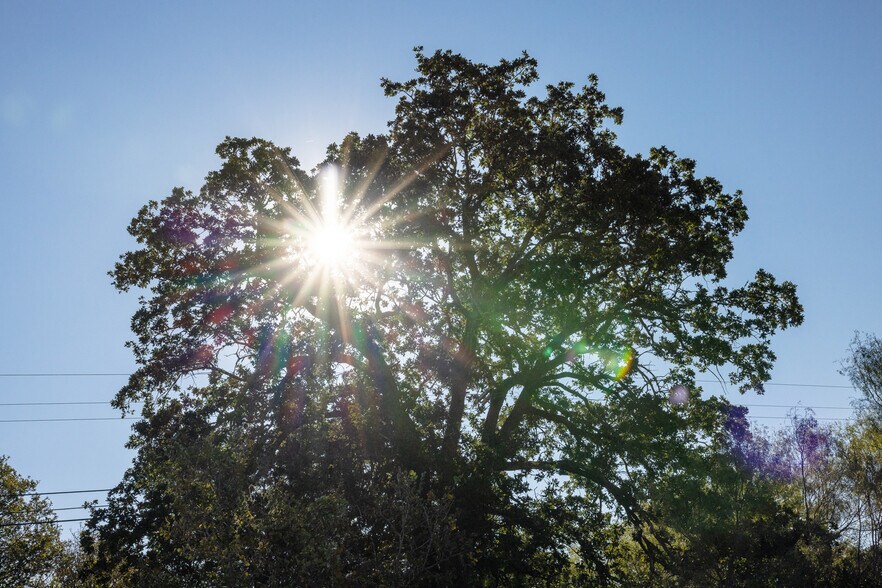 More Photos Of 104 Westwood Rd, Lockhart Land For Sale