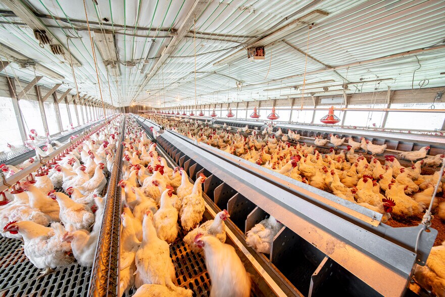 More Photos Of 1291 Myron Hart Rd, Coolidge Land For Sale