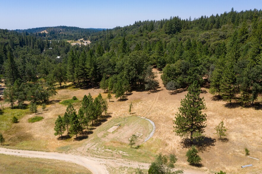 25755 State Highway 88, Pioneer, CA 95666 Land For Sale