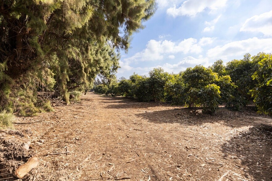 More Photos Of 0 Laguna Rd., Oxnard Land For Sale