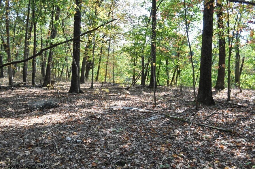 More Photos Of 3039 Earl L Core Rd, Morgantown Land For Sale