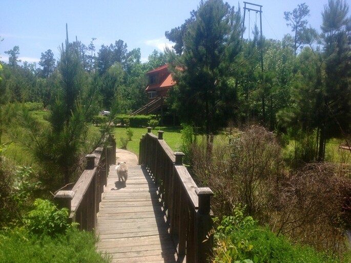 More Photos Of 2564 I-45, New Waverly Land For Sale