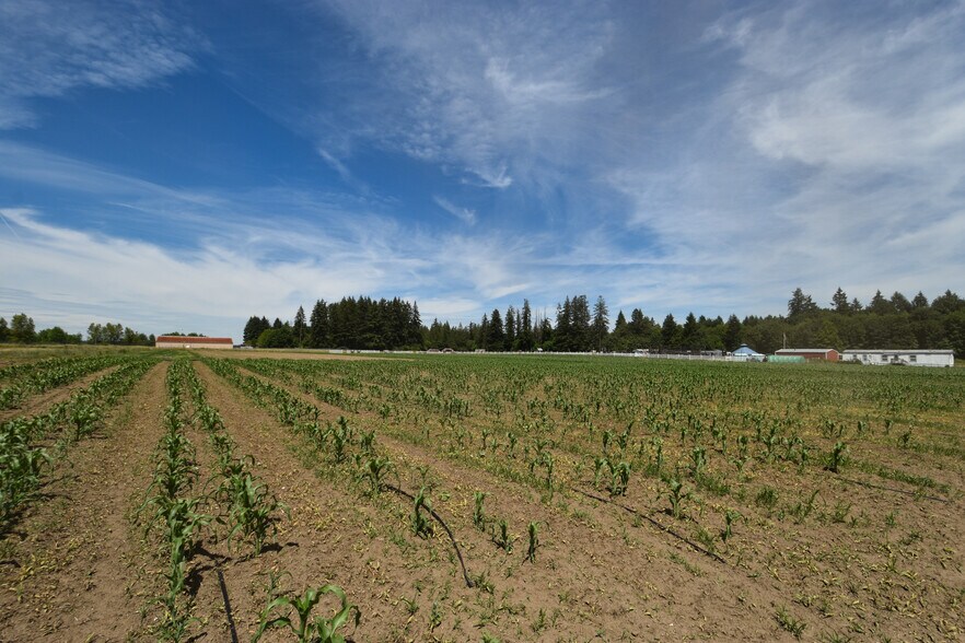 More Photos Of 302 93rd Ave SE, Olympia Land For Sale