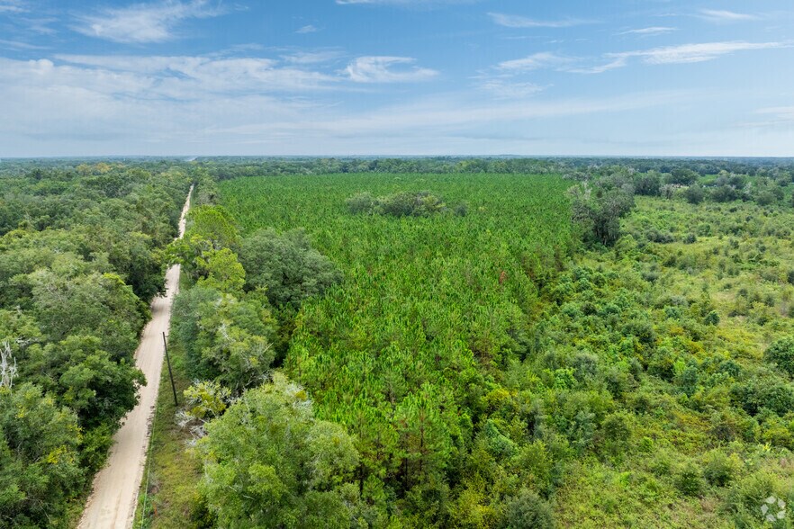 More Photos Of US 27-41/SR 24, Archer Land For Sale
