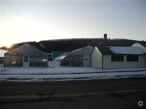 More Photos Of 955 Hoffman St, Elmira Garden Center For Sale