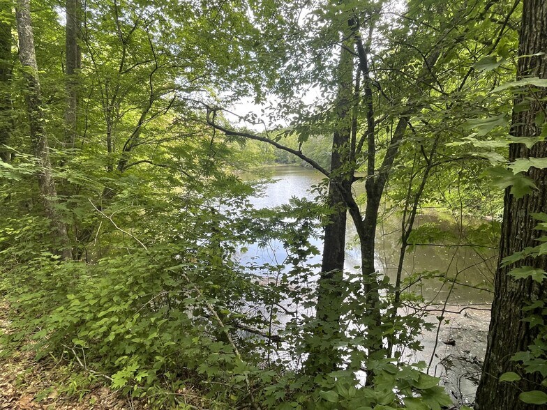 More Photos Of Coon Creek Road Rd @ Hull Road, Sipsey Land For Sale