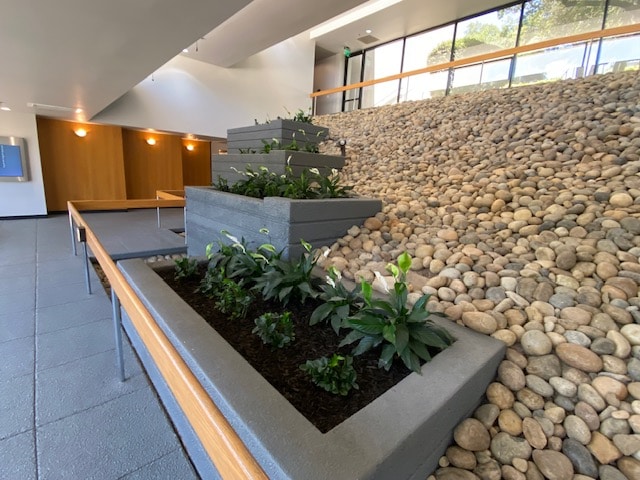 More Photos Of 3536 Mendocino Ave, Santa Rosa Medical For Lease