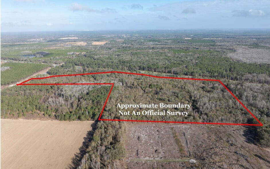 More Photos Of TBD CR 137 & I-10, Wellborn Land For Sale