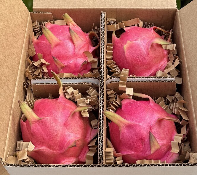 More Photos Of 6018 NW County Road 661A, Arcadia Land For Sale