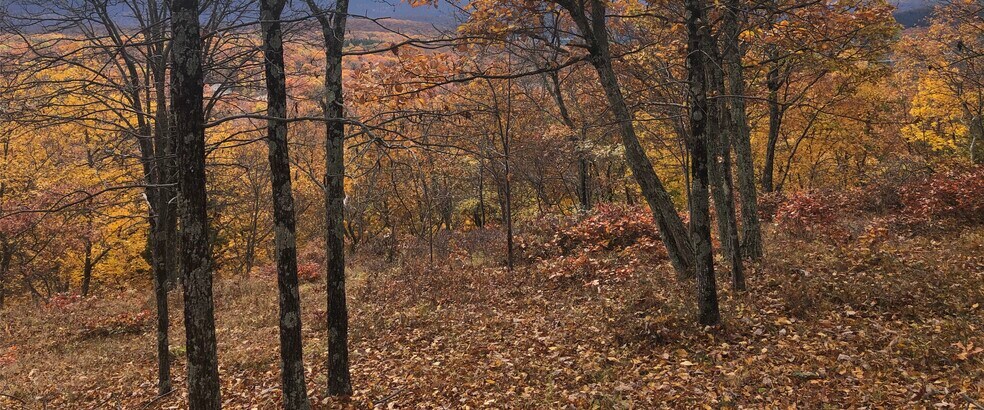 More Photos Of 1216 Dorset, Bushkill Land For Sale