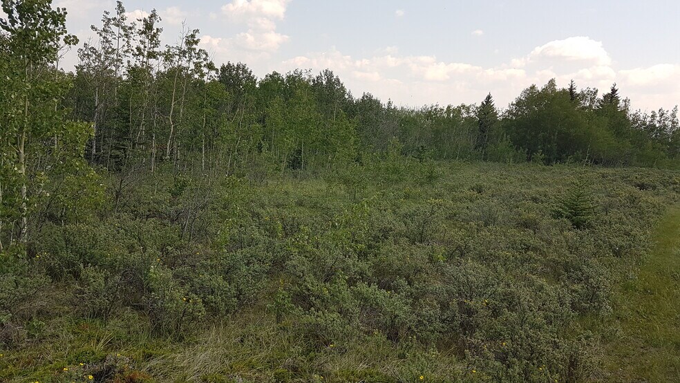 More Photos Of 2 Bow River, Rocky View No 44 Land For Sale