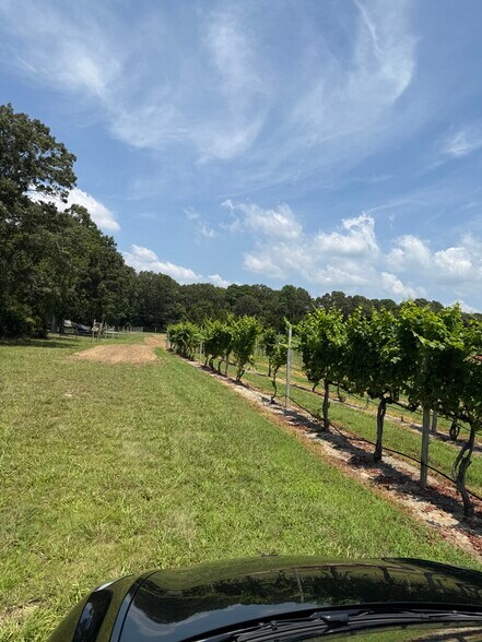 More Photos Of 221 N Delsea Dr, Cape May Court House Winery Vineyard For Sale