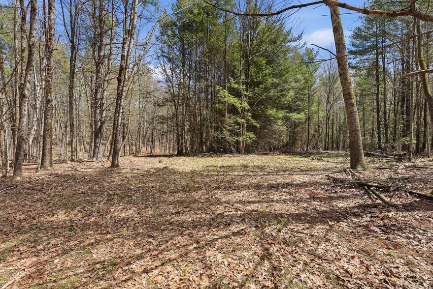 More Photos Of 0 Dry Hill Road, Montague Land For Sale