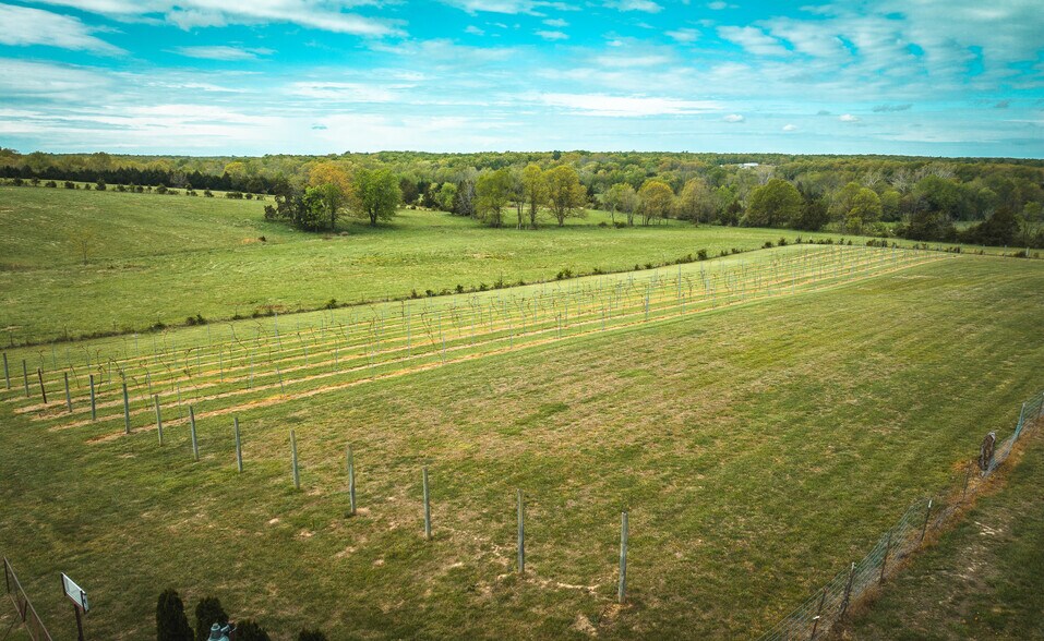 More Photos Of 5870 Old 66, Leasburg Winery Vineyard For Sale