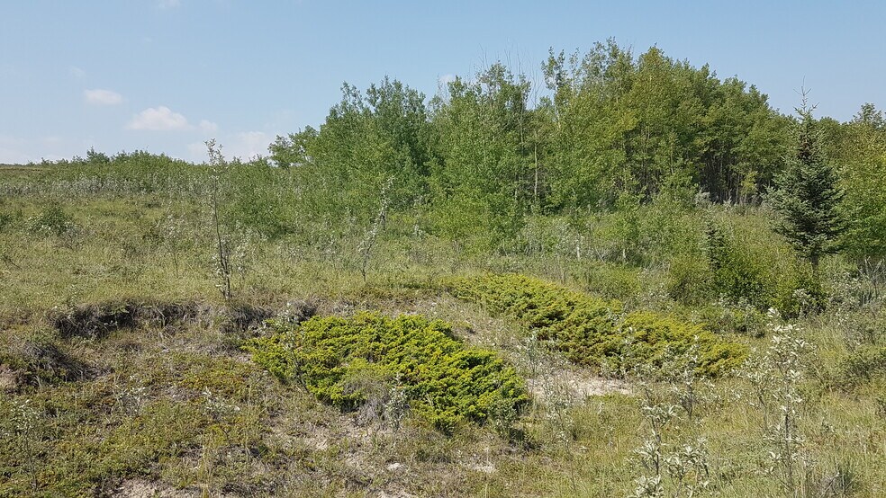 More Photos Of 1 Bow River, Rocky View No 44 Land For Sale