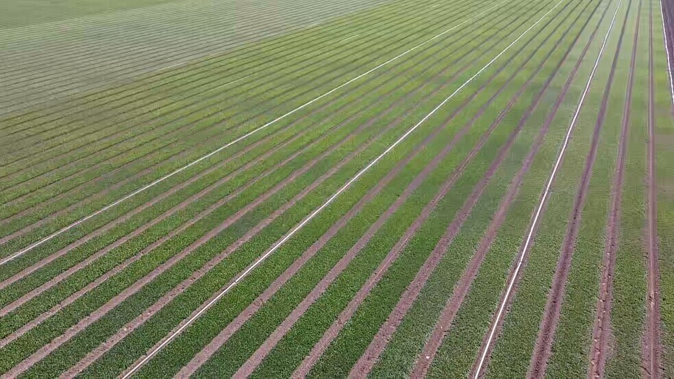 More Photos Of 823 W Aten Rd, Imperial Land For Sale