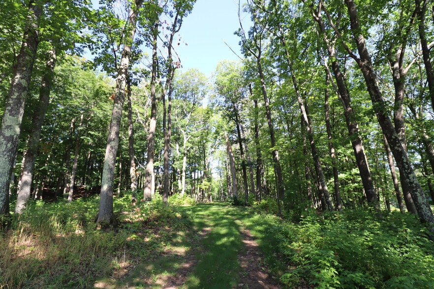 More Photos Of 35480 Whitetail Ave, Bayfield Land For Sale