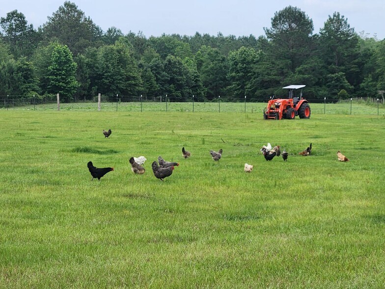 More Photos Of 6939 SW 1 Federal Rd, Lamont Land For Sale