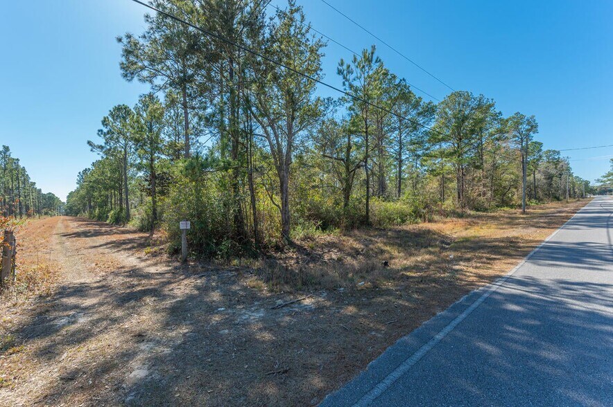 More Photos Of Hwy 331 S & Jolly Bay Road, Freeport Land For Sale