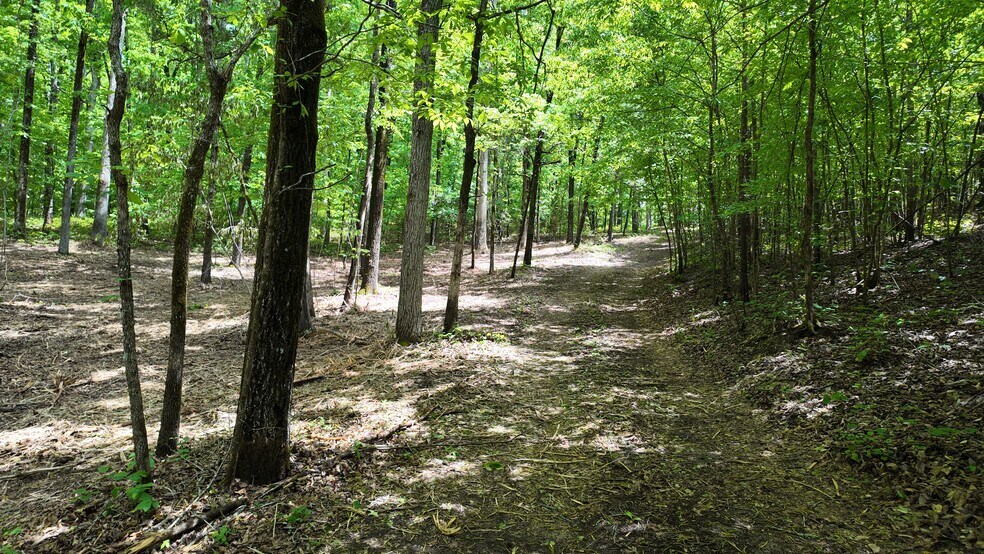 More Photos Of 0 Bullock Bridge Rd, Monroe Land For Sale