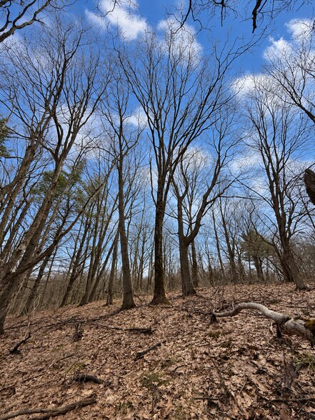 More Photos Of 00 Route 92, Cazenovia Land For Sale