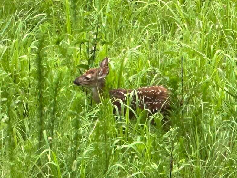 More Photos Of 2350 Squirrel Hunting Road, Morganton Land For Sale