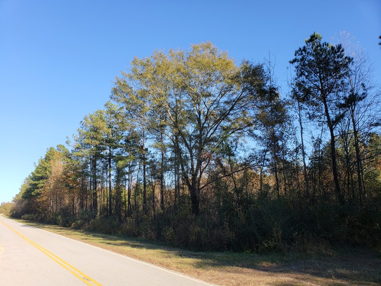 Primary Photo Of Old Stage Rd, Latta Land For Sale